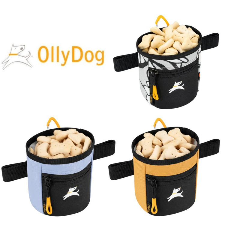 OllyDog