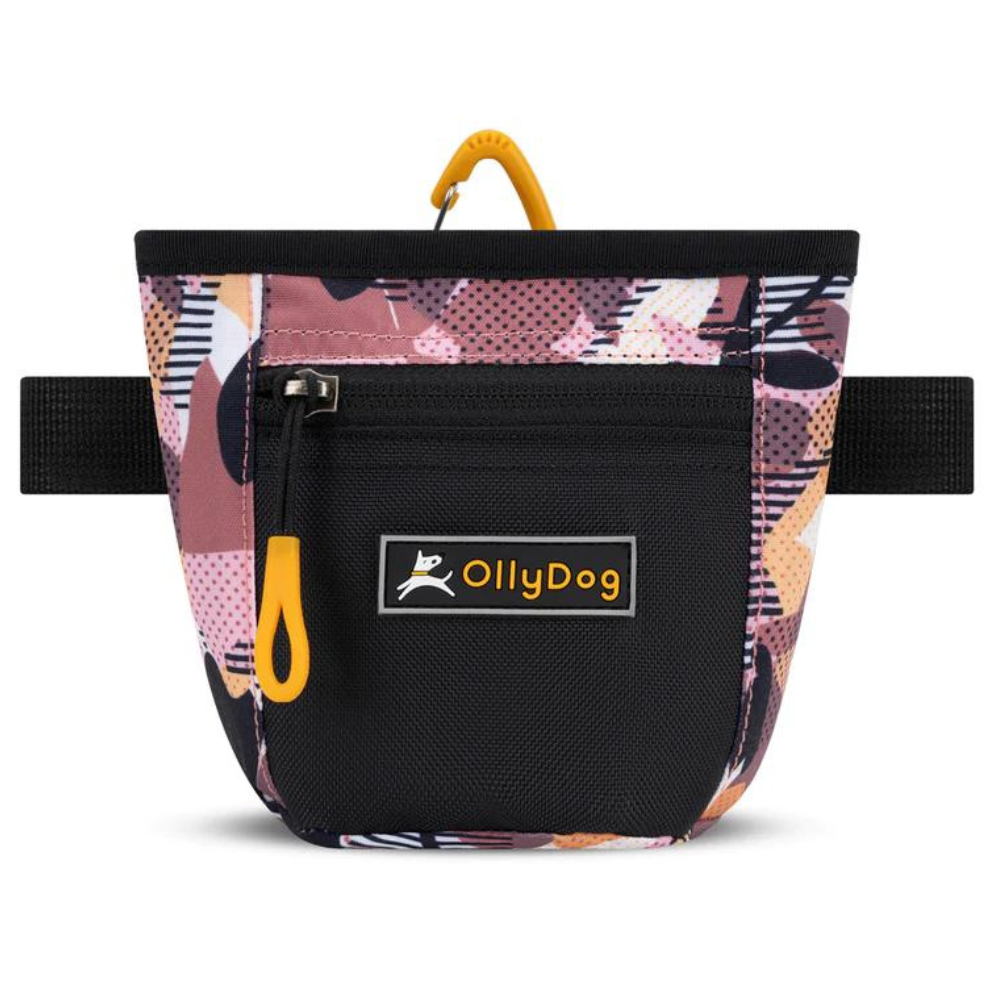 【トリーツポーチ】 OllyDog グッディ―トリーツバッグ オータムカモ
