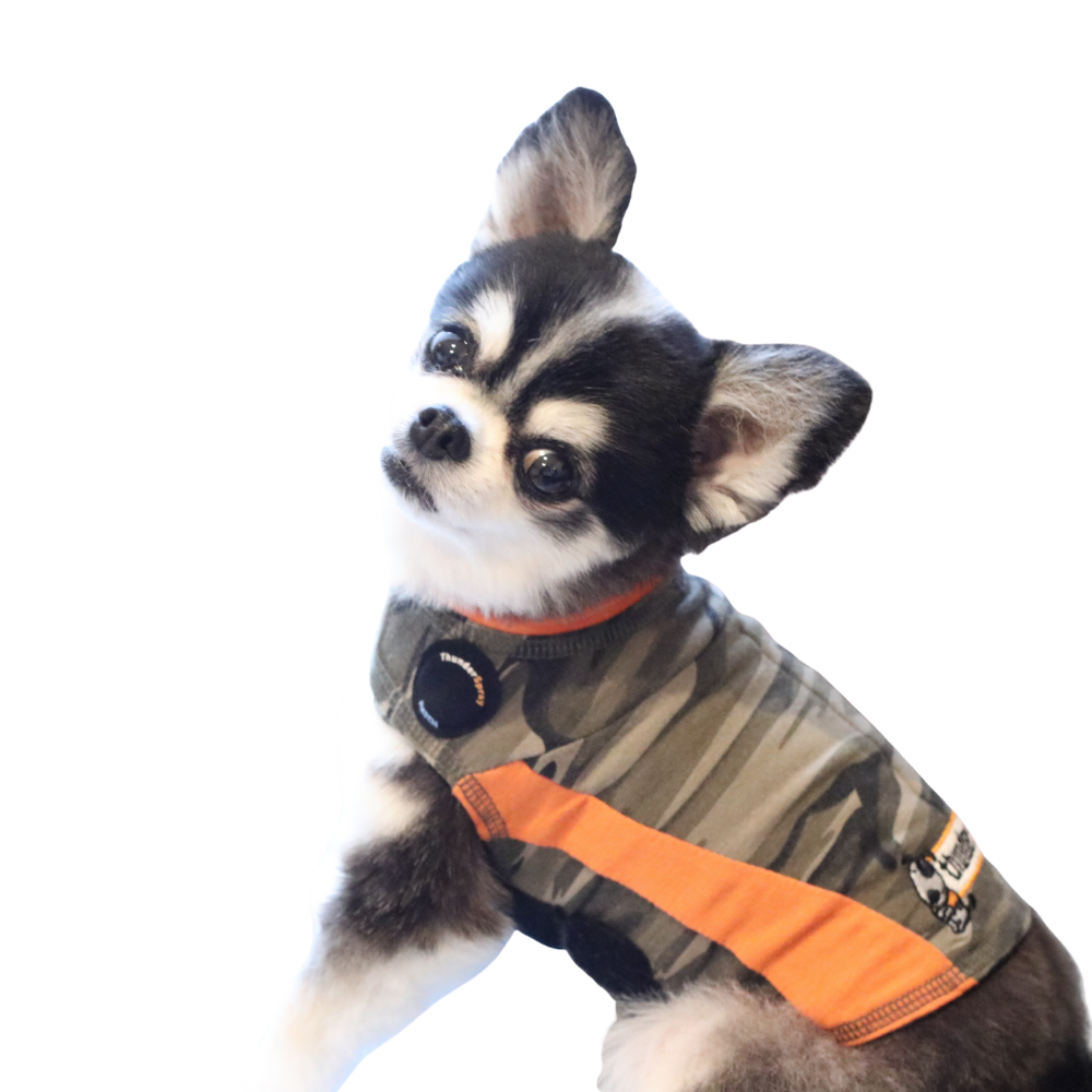 駿カーネルサンダー様☆犬服☆ハンドメイド✩.*˚ 不安緩和シャツ】 サンダーシャツ カモポロ – Healthier Market