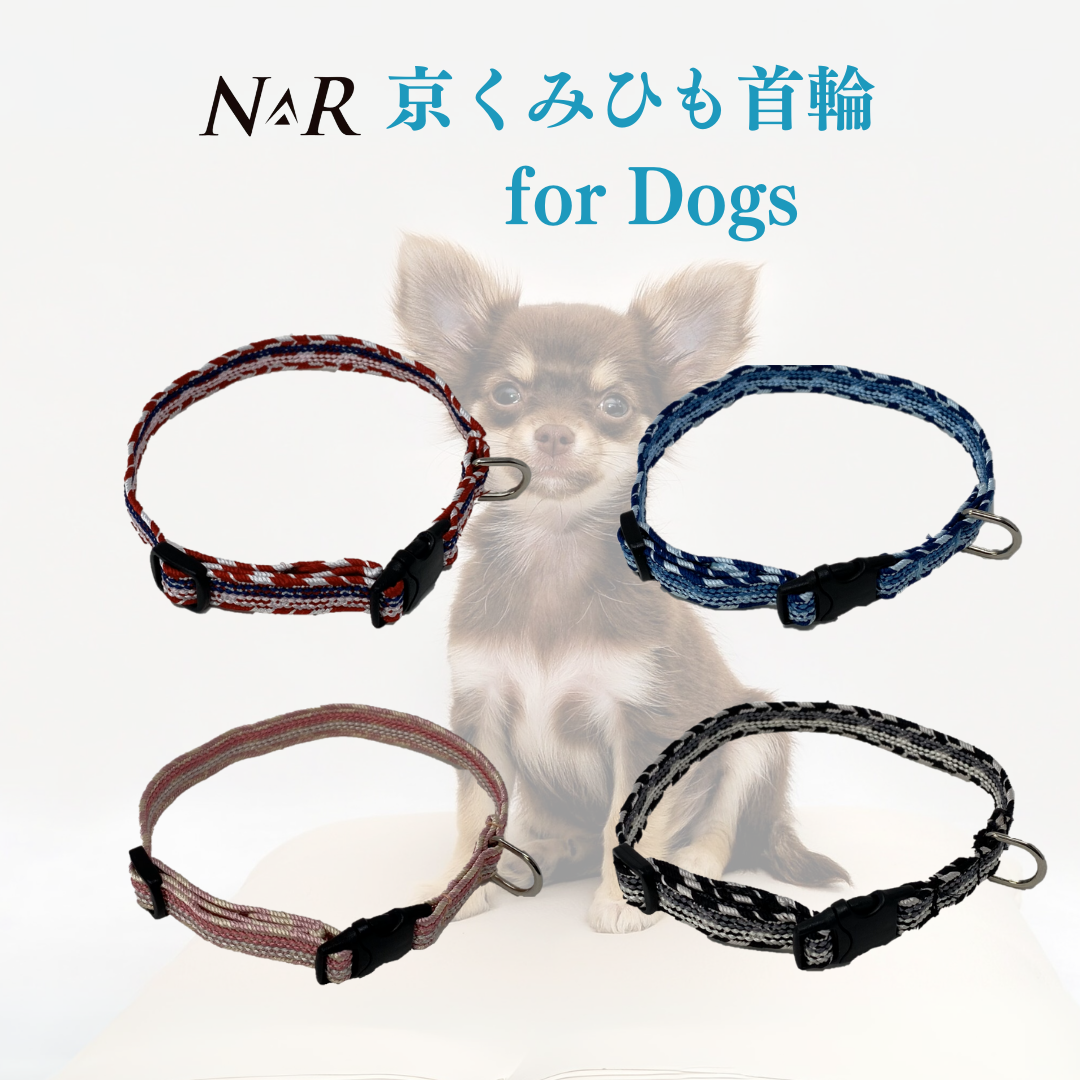 NR 京くみひも首輪 for DOGS 綾高麗