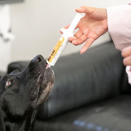 【腸内環境改善サプリ】 オールラックペースト