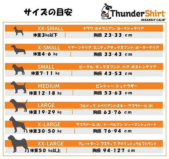 【不安緩和シャツ】 サンダーシャツ クラシックグレー