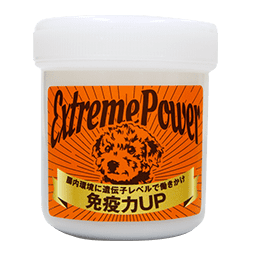 エクストリームパワー