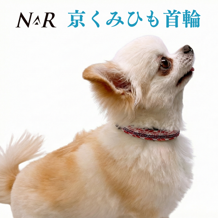 京くみひも首輪