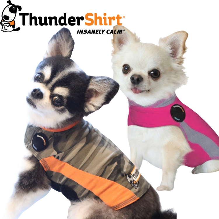 サンダーシャツ