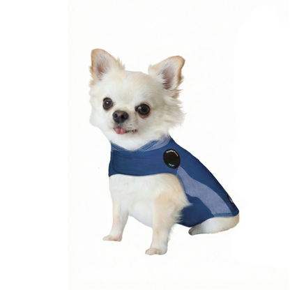 【不安緩和シャツ】 サンダーシャツ ブルーポロ