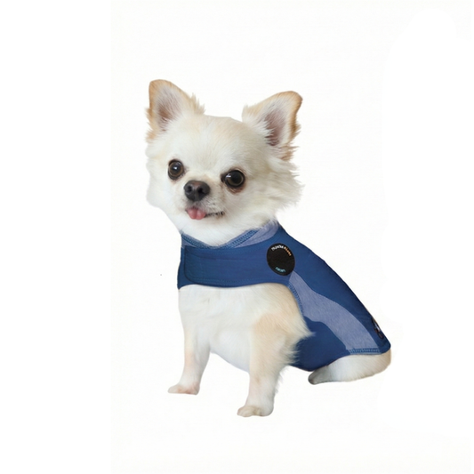 【不安緩和シャツ】 サンダーシャツ ブルーポロ