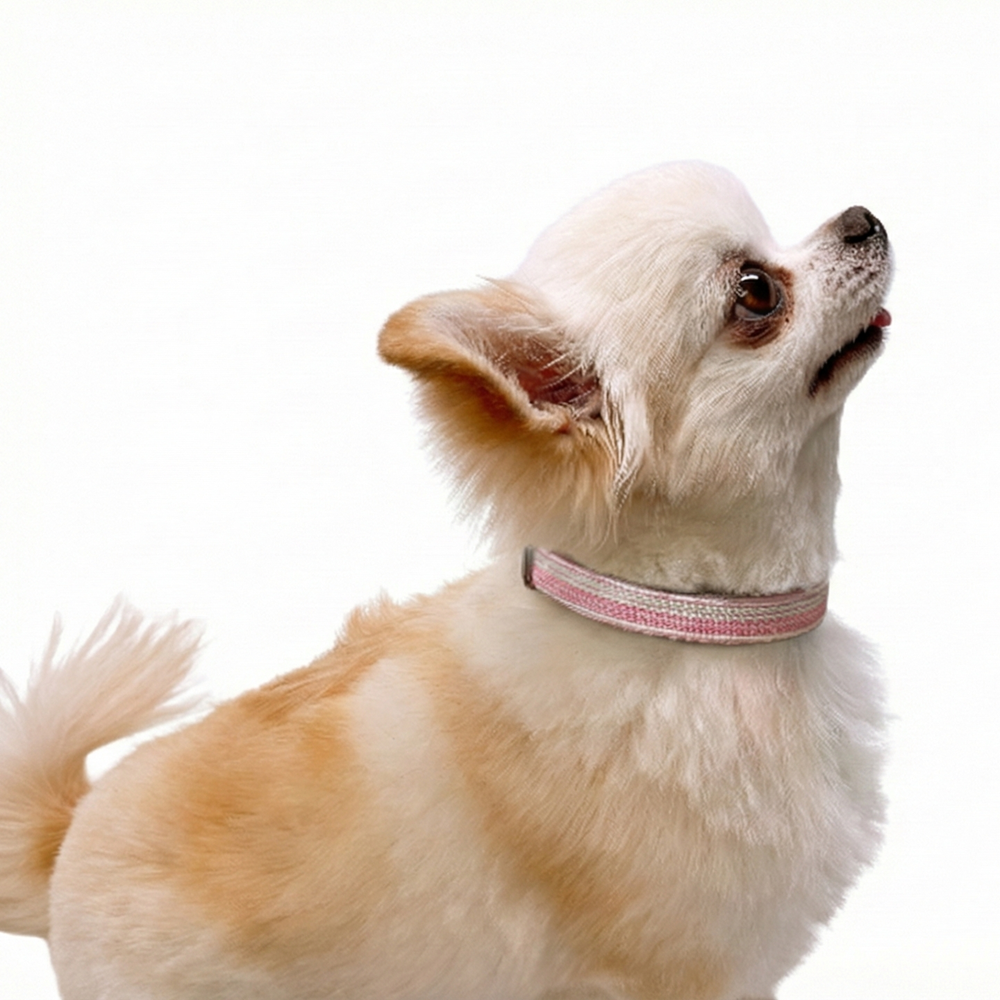 NR 京くみひも首輪 for DOGS 綾高麗