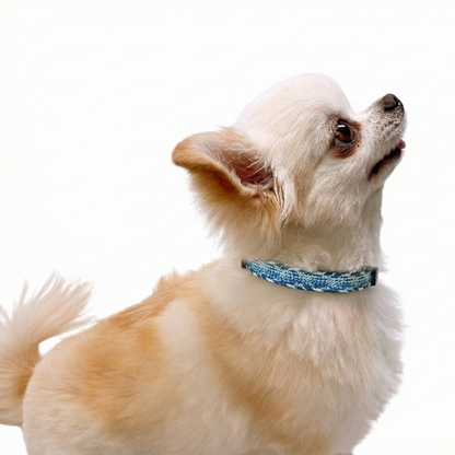 NR 京くみひも首輪 for DOGS 綾高麗