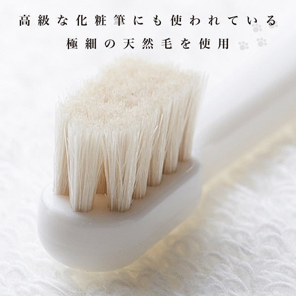 【小型犬用歯ブラシ】 ミガケンデ　MIGAKENDE